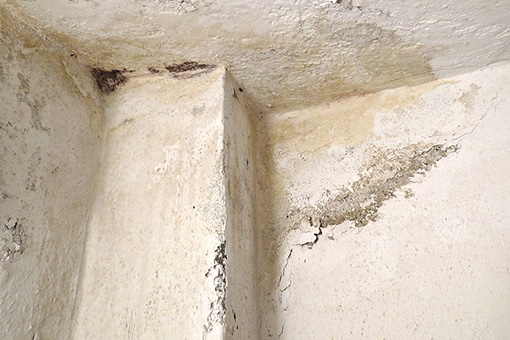 Should I Get a Mold Inspection Before I Buy a New Home?